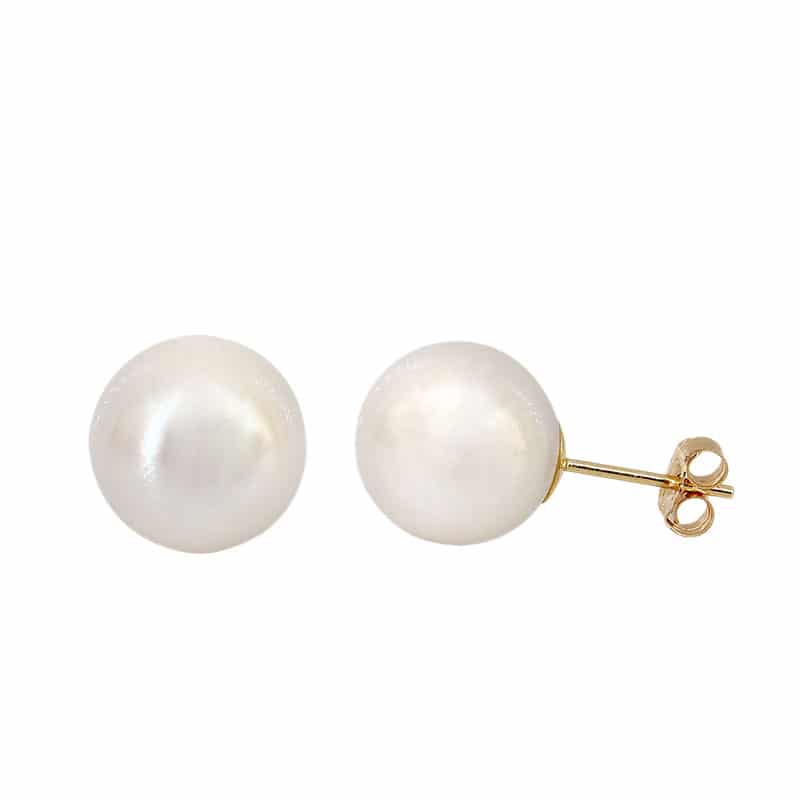Earrings - Pearl Studs #553