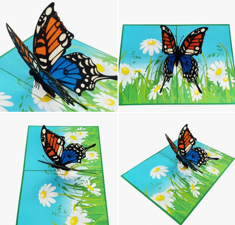 Butterfly - Blank - Pop Up