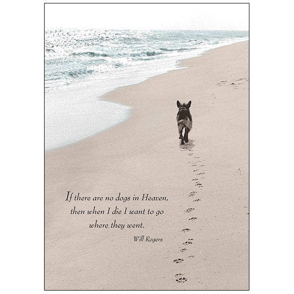 Sympathy Card For Dog Death Sympathy Dog Loss Sympathy Quotes Loss